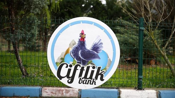 Çiftlik Bank ve benzerlerine yeni tedbirler yolda