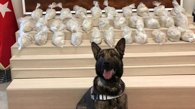 Van’da narkotik köpeği Rexo, kamyonetteki 32 kilo eroini buldu