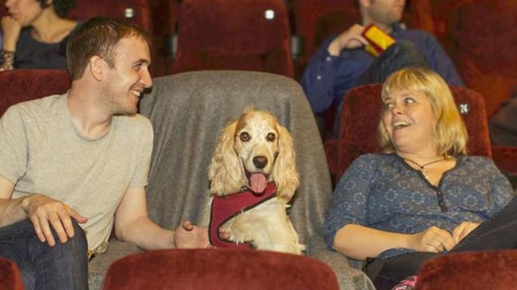 İngiltere’de köpeklere özel sinema salonları