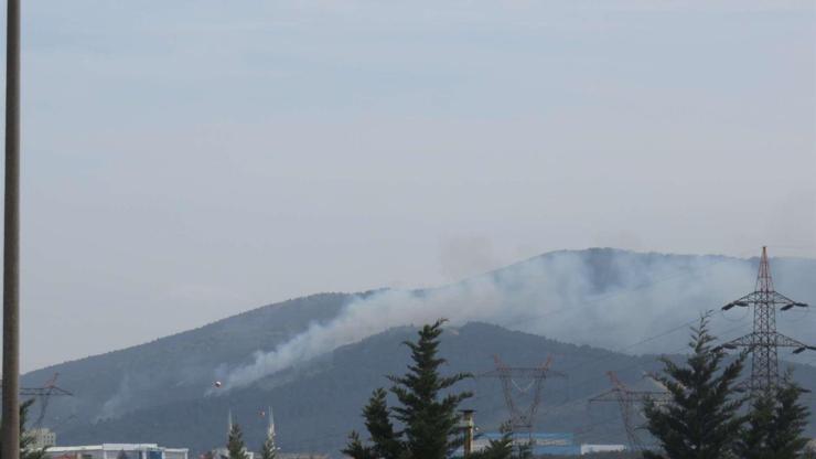 Son dakika... İstanbulda orman yangını