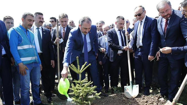 Zeytin Dalı Harekatı şehitleri anısına fidan dikildi