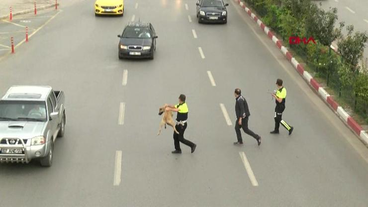 Yol kenarında kalan köpeğe polisten yardım eli