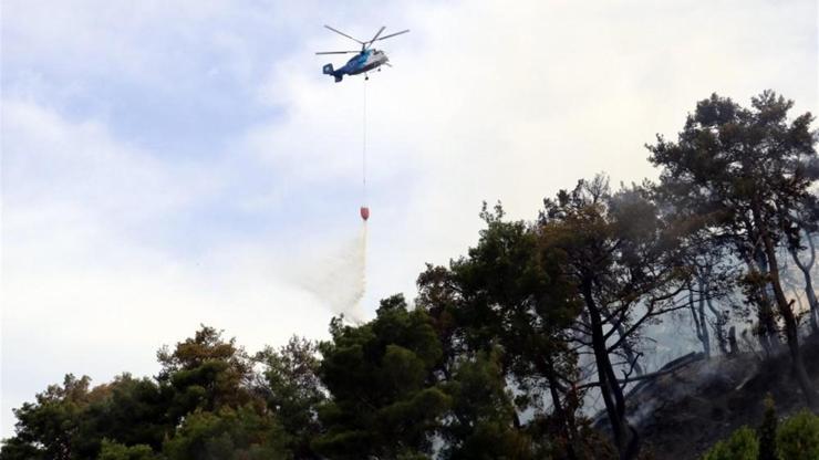 Antalya’daki orman yangınında 2 hektar kül oldu