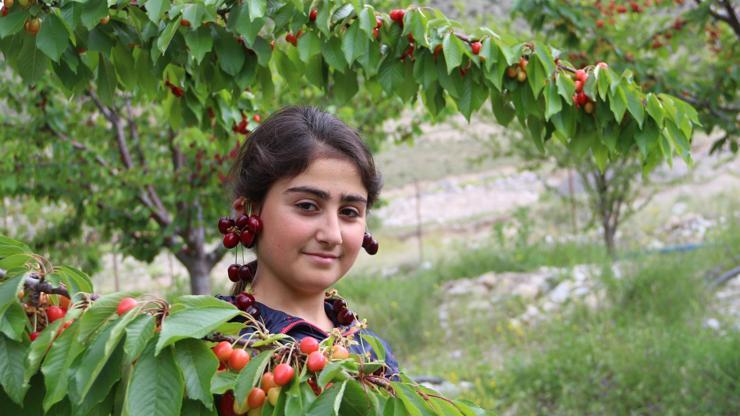 Erzurumda yetişiyor kilosu: 7.5 lira