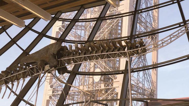 152 milyon yıllık dinozor Eyfel Kulesinde sergileniyor