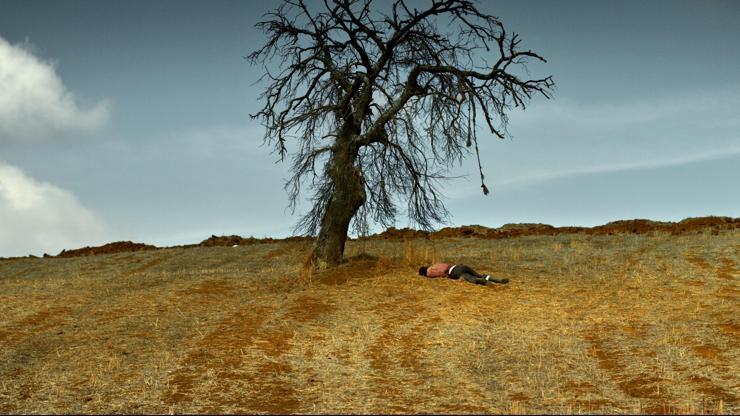 Ahlat Ağacı: Uyumsuz, yalnız, şekilsiz