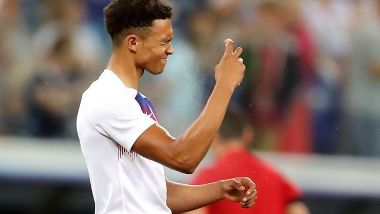 Tunus - İngiltere maçını sinekler bastı
