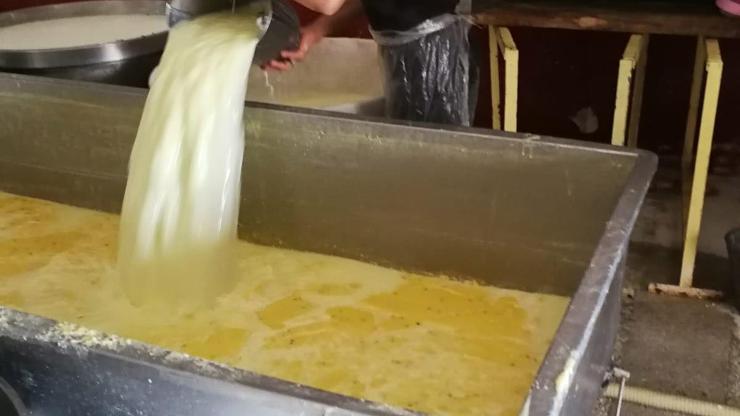 Kaçak kaşar peyniri imalathanesinde iğrenç görüntü