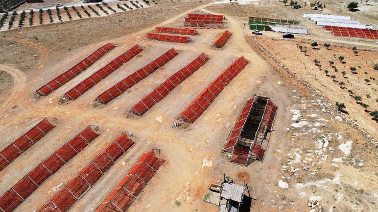 Burada sezon yeni başladı: Bahçeler rengarenk oldu