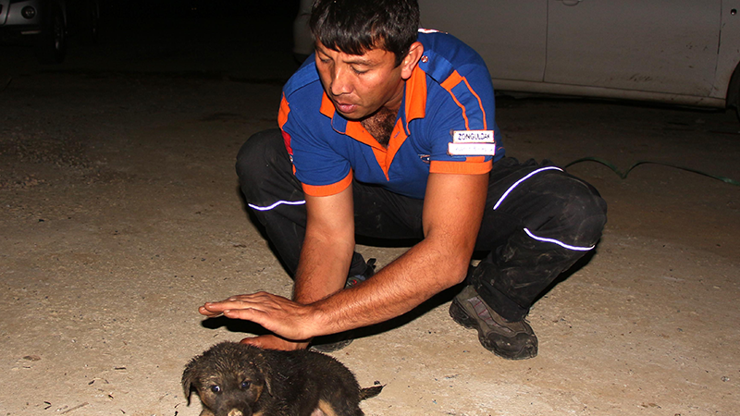 Kuyuya düşen yavru köpeği AFAD ekibi kurtardı