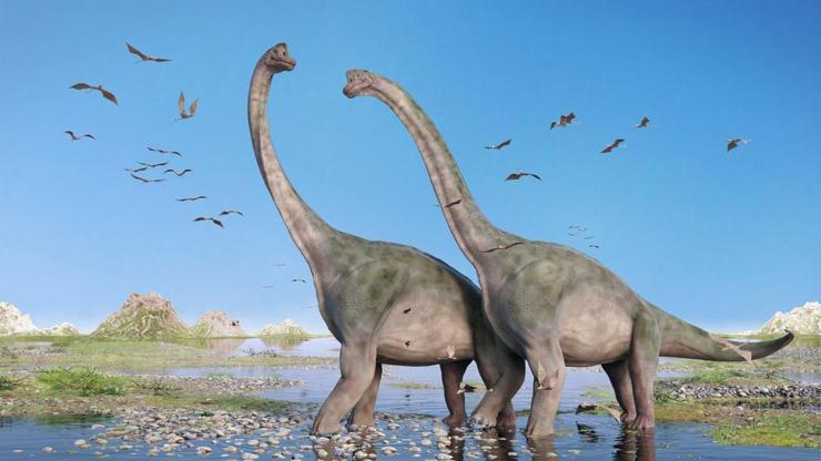 140 milyon yıllık dinozor ayak izi bulundu