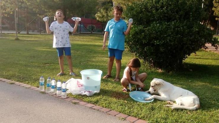 Su satarak hayvanlara mama alan çocuklara Başkan Piriştinadan destek