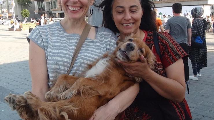 2 bin lira ödüllü köpek, Taksim Metrosunda bulundu