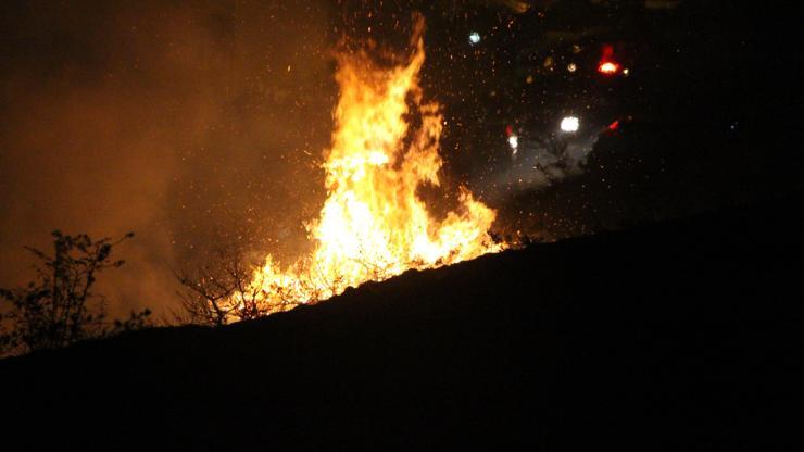 Trabzonda orman yangını