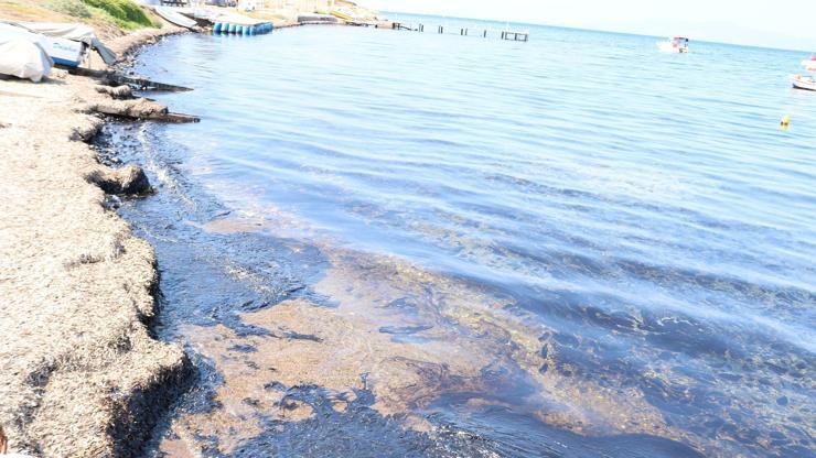 Ünlü tatil bölgesinde denizi ham petrol kapladı