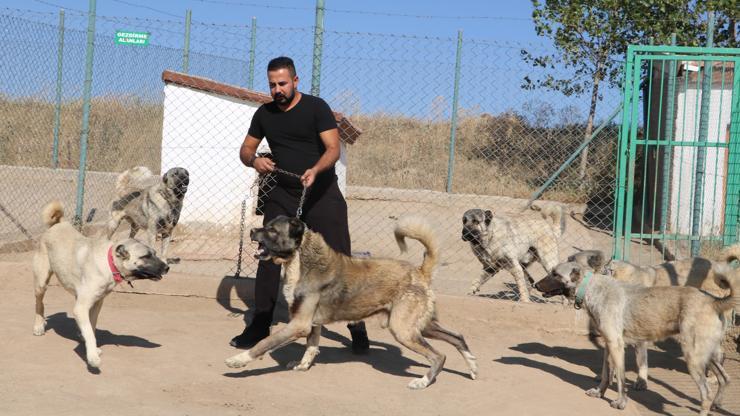 K-9’ların yerini Kangal alıyor
