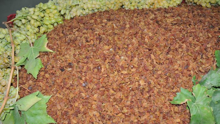 Çekirdeksiz kuru üzüm ihracatında son 9 yılın rekoru kırıldı