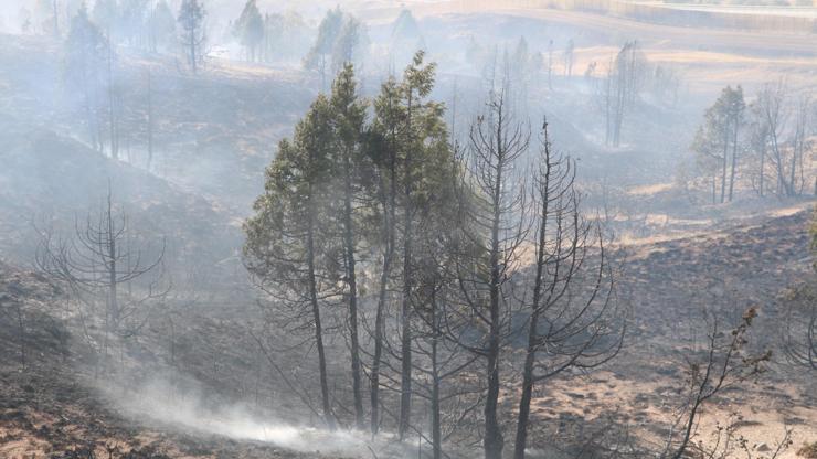 Sivasta orman yangını
