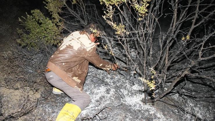 Ayvalıkta yangın: Zeytin ağaçları zarar gördü
