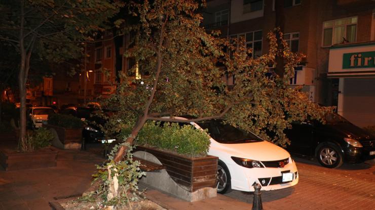 Şiddetli rüzgar İstanbulda ağaçları devirdi