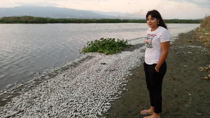 Asi Nehrinde balıklar oksijen yetersizliğinden telef olmuş