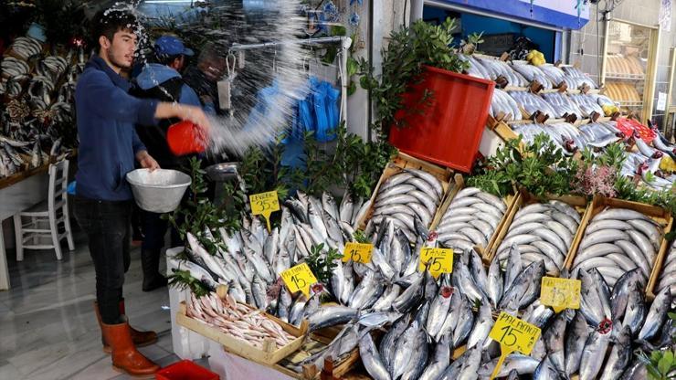 Palamut hem vatandaşı hem de balıkçıyı güldürdü: İşte fiyatları...