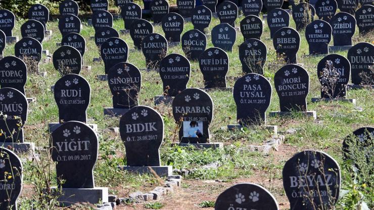 Evcil hayvanlara özel mezar