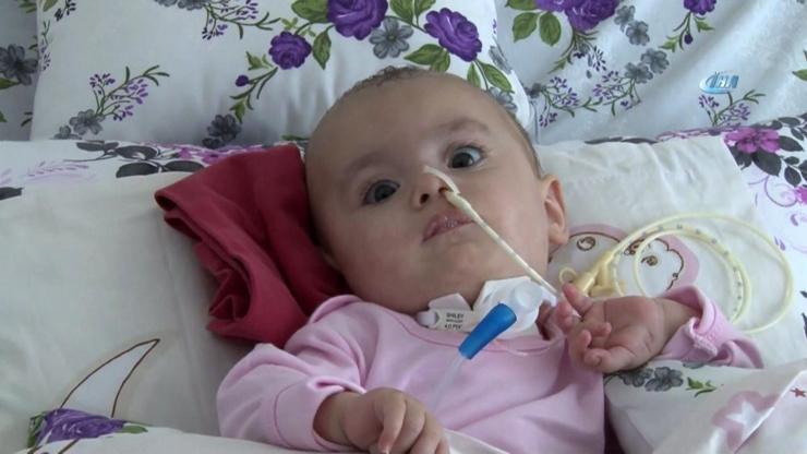 SMA hastası Hafsa bebek yaşamak için yardım bekliyor