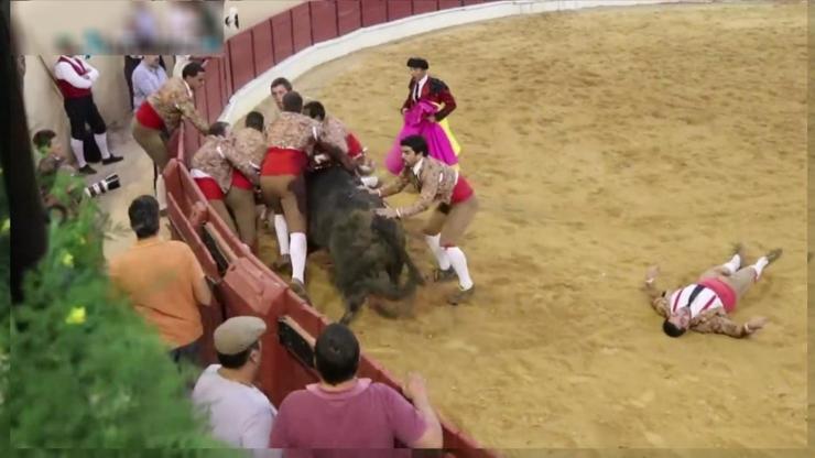 Boğanın öfkesi 6 matadoru birden devirdi