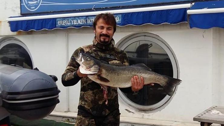 Zonguldaklı balıkçı dev levreği zıpkınla avladı