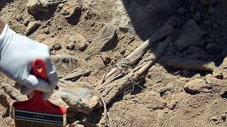 Irakta Ezidilere ait toplu mezar bulundu