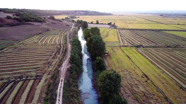 Meriç Deresindeki kirliliğin nedeni belli oldu