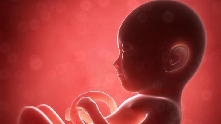 Tüp bebek ile oluşan gebeliklerde düşük riski yüksek midir