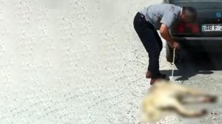 Köpeğini aracının arkasına bağlayan sürücüye bakım evi cezası
