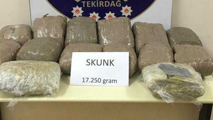 Şüpheli bavullardan skunk çıktı