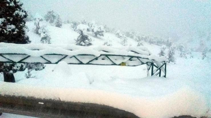 Antalya Saklıkentteki yoğun kar yağışı elektrik direklerini devirdi