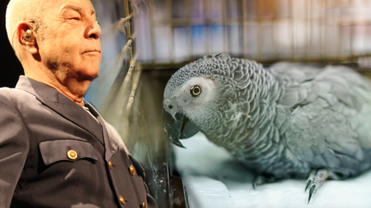 Mazhar Alanson sitem etti Papağan öldü bir haftadır konuşuluyor