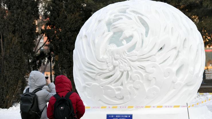 Çinde Harbin Uluslararası Buz Festivali başladı