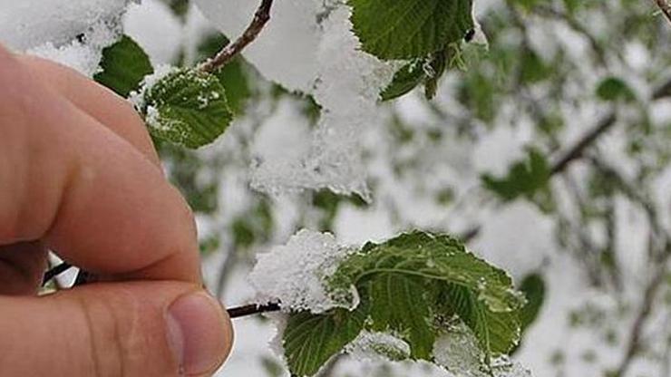 Son dakika: Meteorolojiden zirai don uyarısı