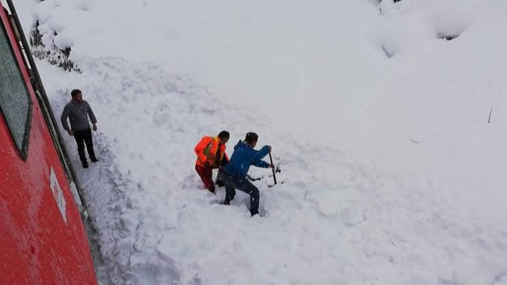 Dağ keçisi kara gömüldü