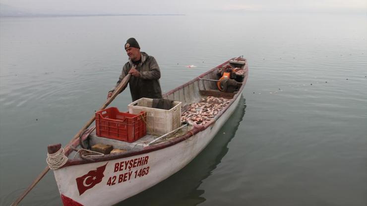 Çin sazanı balıkçıların yeni umudu oldu