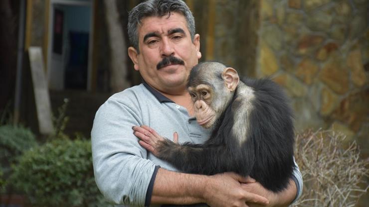 Annesinin kabul etmediği şempanze Cana özel aile terapisi