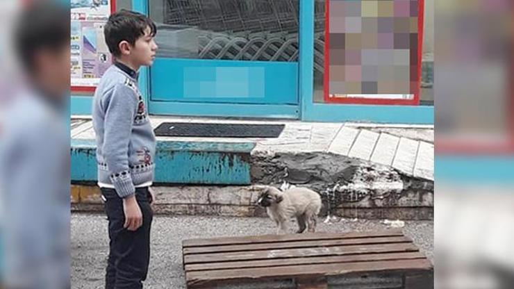 Şemsiyesiyle sokak köpeğini yağmurdan korudu