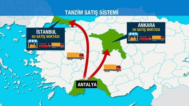 Belediyeden ucuza meyve satışının tüm detayları