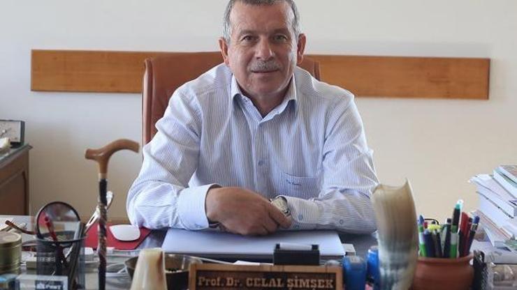Pamukkale Üniversitesi, 3 kazı çalışmasıyla ilk sırada Pamukkale Üniversitesi, 3 kazı çalışmasıyla ilk sırada