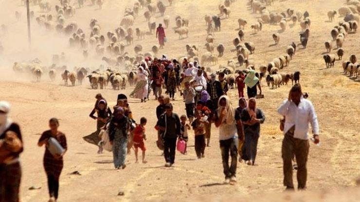 Irakta 100 bin Ezidi DEAŞ nedeniyle ülkeyi terk etti