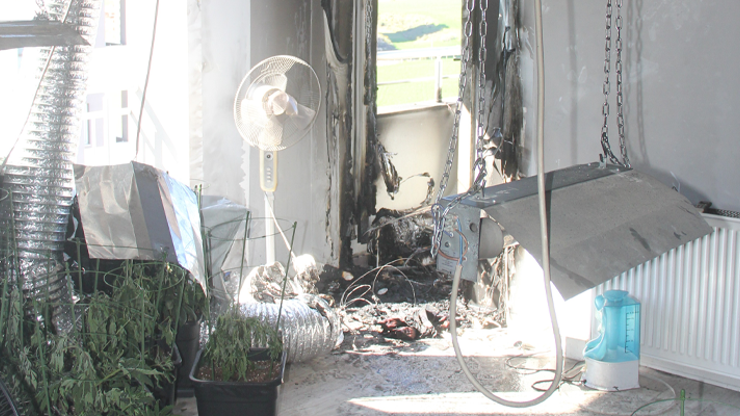 Rezidansta kenevir serası kuran üniversiteliyi yangın ele verdi