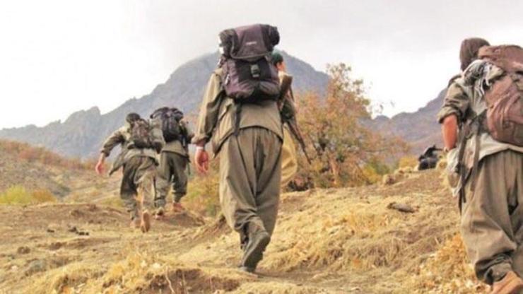Şırnakta 4 PKKlı terörist teslim oldu
