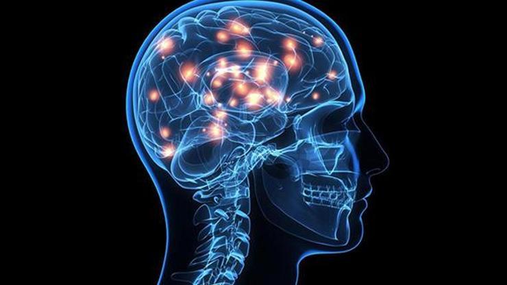 İnsan beyninde manyetik pusula keşfedildi