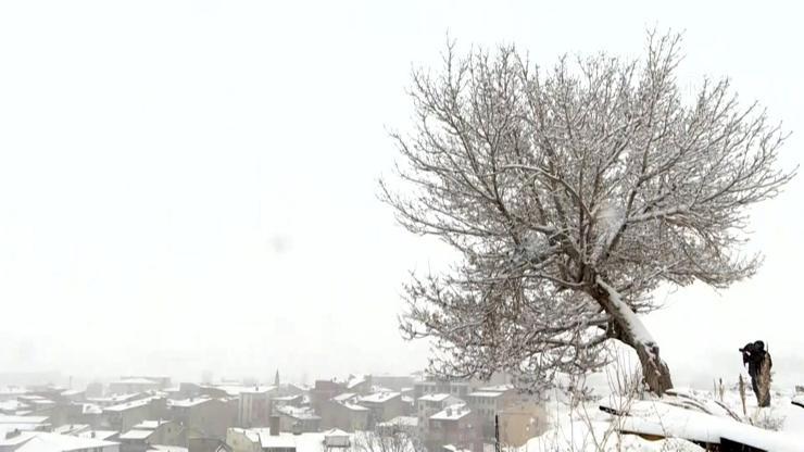 Mart karı Doğu Anadoluya yeniden gelinlik giydirdi